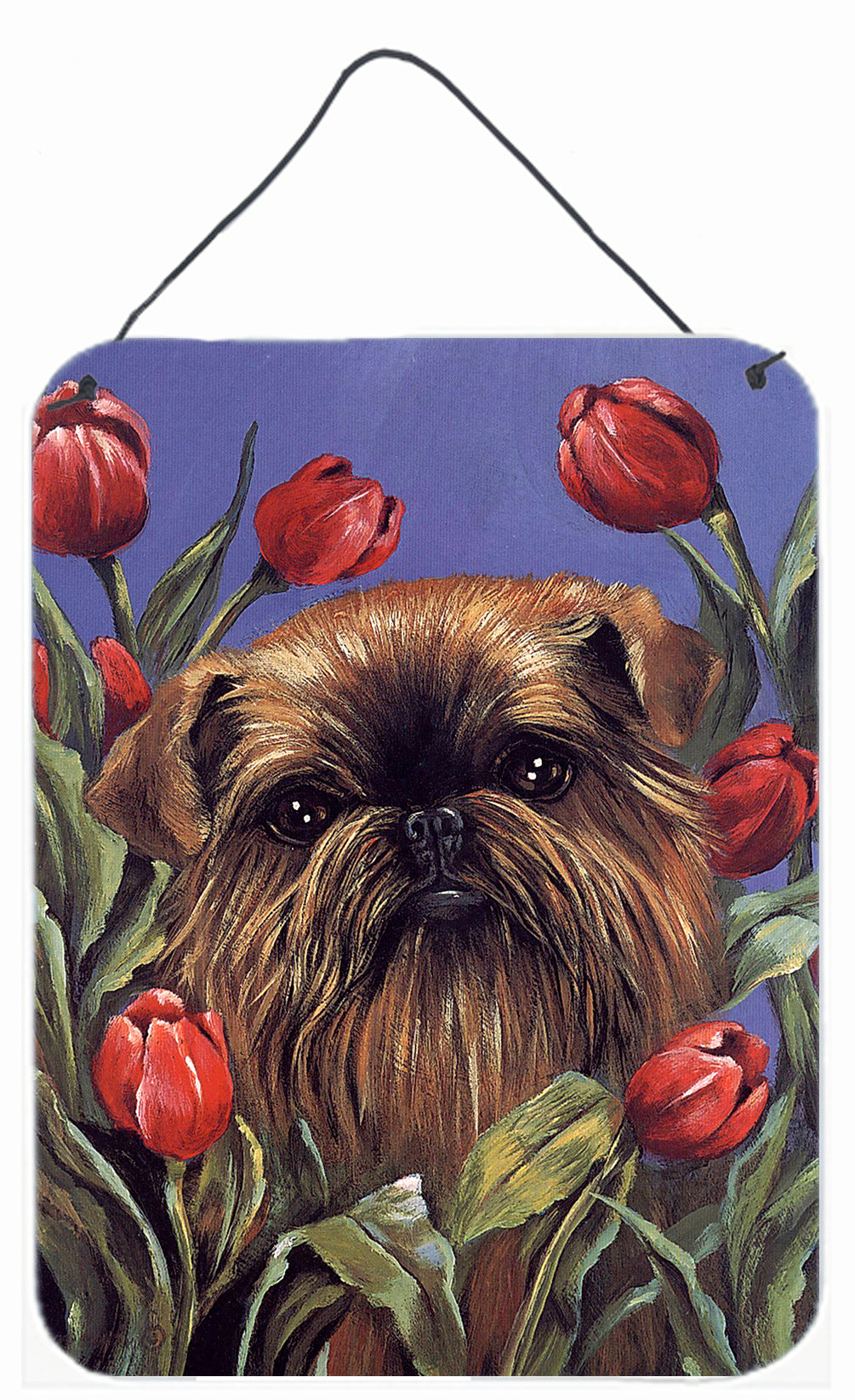 Brussels Griffon Red Brussels Griffon Puppy Weeks Red Lying Flat