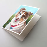 Buy this Australian Shepherd Scarlet Greeting Cards and Envelopes Pack of 8