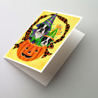 Buy this Boston Terrier Halloweenies Greeting Cards and Envelopes Pack of 8