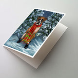 Buy this Boxer Let's Play Christmas Greeting Cards and Envelopes Pack of 8