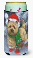 Buy this Cairn Terrier Christmas Red Boots Tall Boy Hugger PPP3058TBC