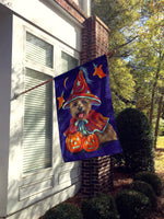 Cairn Terrier Halloween Witch Flag Canvas House Size PPP3061CHF