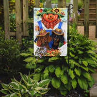 Dachshund Fall Scarecrow Flag Garden Size PPP3086GF
