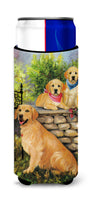 Buy this Golden Retriever At the Gate Ultra Hugger for slim cans PPP3101MUK