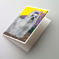 Buy this Maltese Patio Princess Greeting Cards and Envelopes Pack of 8