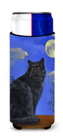 Buy this Black Cat Hocus Pocus Halloween Ultra Hugger for slim cans PPP3142MUK