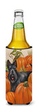 Scottish Terrier Scottie Pumpkins Ultra Hugger for slim cans PPP3168MUK