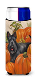 Buy this Scottish Terrier Scottie Pumpkins Ultra Hugger for slim cans PPP3168MUK