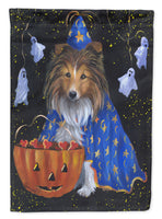 Buy this Sheltie Halloween Witch Flag Canvas House Size PPP3186CHF