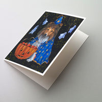Buy this Sheltie Halloween Witch Greeting Cards and Envelopes Pack of 8