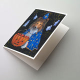 Buy this Sheltie Halloween Witch Greeting Cards and Envelopes Pack of 8