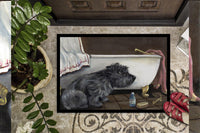 Cairn Terrier Bath Time Indoor or Outdoor Mat 18x27 PPP3250MAT - Precious Pet Paintings