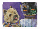 Buy this Cairn Terrier Gone Fishing Machine Washable Memory Foam Mat PPP3252RUG