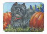 Buy this Cairn Terrier Mom's Pumpkins Machine Washable Memory Foam Mat PPP3253RUG