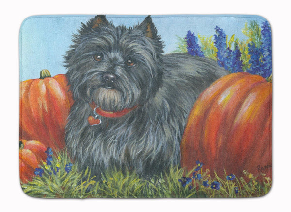 Buy this Cairn Terrier Mom's Pumpkins Machine Washable Memory Foam Mat PPP3253RUG