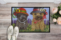 Cairn Terrier Sisters Indoor or Outdoor Mat 18x27 PPP3254MAT - Precious Pet Paintings