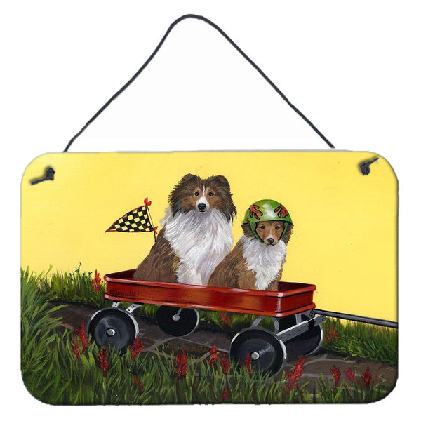 Buy this Sheltie Sheepdog Express Wall or Door Hanging Prints PPP3272DS812