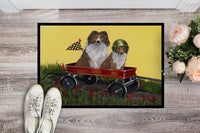 Sheltie Sheepdog Express Indoor or Outdoor Mat 24x36 PPP3272JMAT - Precious Pet Paintings