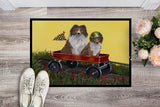 Sheltie Sheepdog Express Indoor or Outdoor Mat 24x36 PPP3272JMAT - Precious Pet Paintings