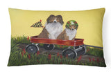 Buy this Sheltie Sheepdog Express Canvas Fabric Decorative Pillow PPP3272PW1216