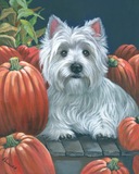 Westie Pumpkins Flag Garden Size PPP3224GF